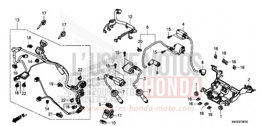 FAISCEAU SECONDAIRE/BOBINE D'ALLUMAGE CRF1100AL de 2020